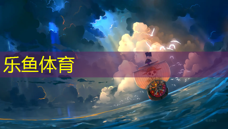 邵阳网球网价格查询网